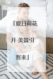 夏日荷花开 美景引客来