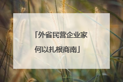 外省民营企业家何以扎根商南