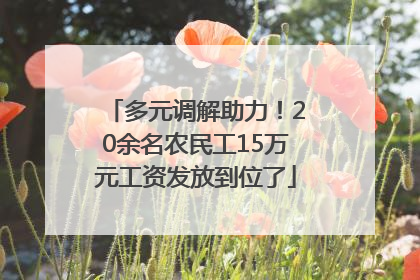 多元调解助力！20余名农民工15万元工资发放到位了