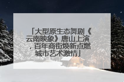 大型原生态舞剧《云南映象》唐山上演，百年商街焕新点燃城市艺术激情