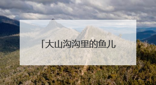 大山沟沟里的鱼儿 “游”出山 端上成渝市民的餐桌