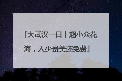 大武汉一日丨超小众花海，人少景美还免费
