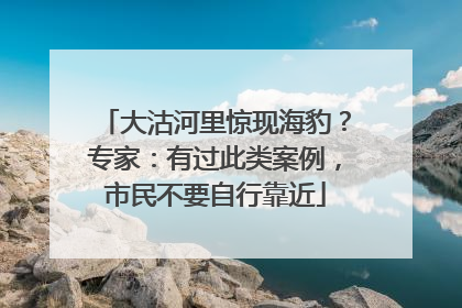 大沽河里惊现海豹？专家：有过此类案例，市民不要自行靠近