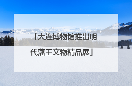 大连博物馆推出明代藩王文物精品展
