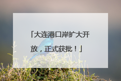 大连港口岸扩大开放，正式获批！
