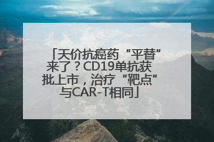 天价抗癌药“平替”来了？CD19单抗获批上市，治疗“靶点”与CAR-T相同