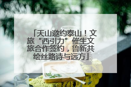 天山邀约泰山！文旅“西引力”催生文旅合作签约，鲁新共绘丝路诗与远方