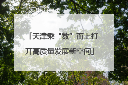 天津乘“数”而上打开高质量发展新空间