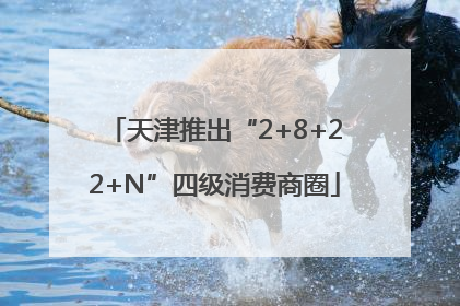 天津推出“2+8+22+N”四级消费商圈