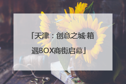 天津：创意之城·箱遇BOX商街启幕