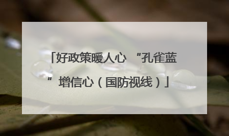 好政策暖人心 “孔雀蓝”增信心（国防视线）