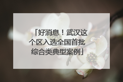 好消息！武汉这个区入选全国首批综合类典型案例