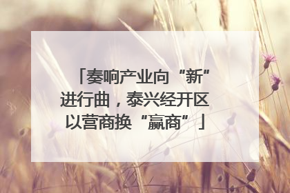 奏响产业向“新”进行曲，泰兴经开区以营商换“赢商”