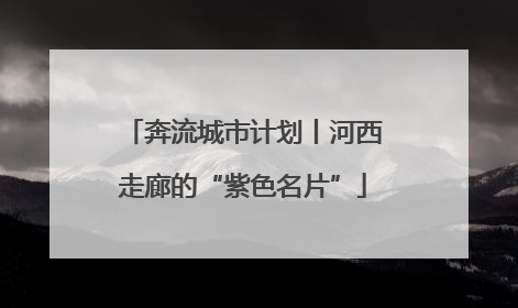 奔流城市计划丨河西走廊的“紫色名片”