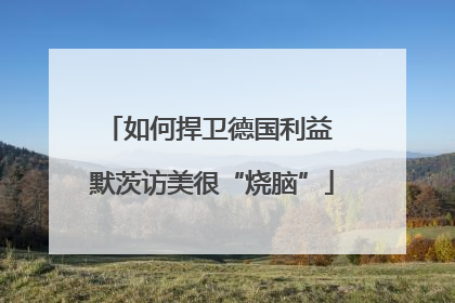 如何捍卫德国利益 默茨访美很“烧脑”
