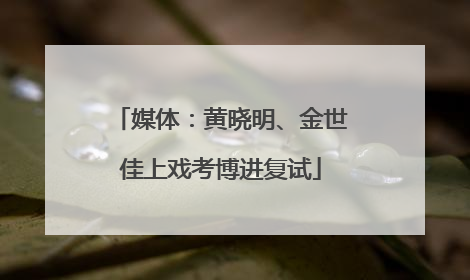 媒体：黄晓明、金世佳上戏考博进复试