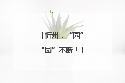 忻州，“园”“园”不断！