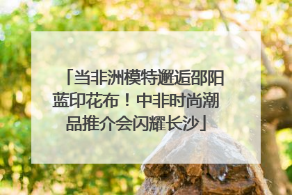 当非洲模特邂逅邵阳蓝印花布！中非时尚潮品推介会闪耀长沙