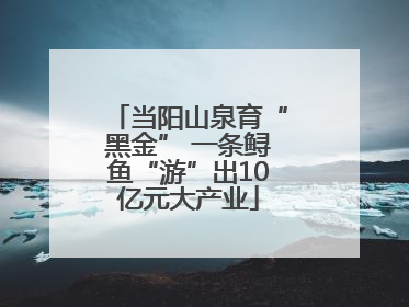 当阳山泉育“黑金” 一条鲟鱼“游”出10亿元大产业
