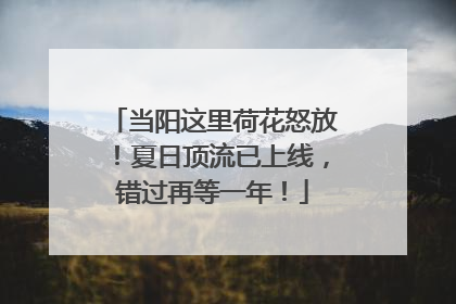 当阳这里荷花怒放！夏日顶流已上线，错过再等一年！