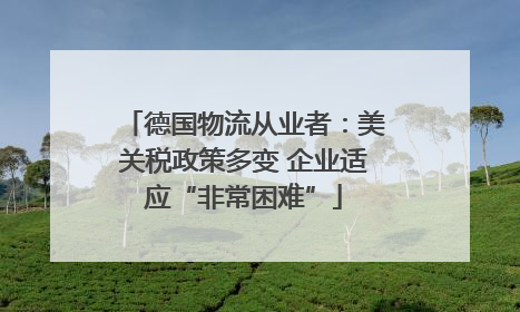 德国物流从业者：美关税政策多变 企业适应“非常困难”