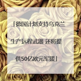 德国计划支持乌克兰生产远程武器 还将提供50亿欧元军援
