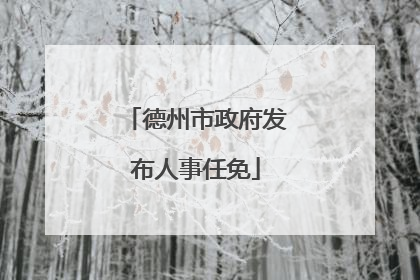 德州市政府发布人事任免