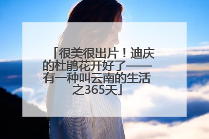 很美很出片！迪庆的杜鹃花开好了——有一种叫云南的生活之365天