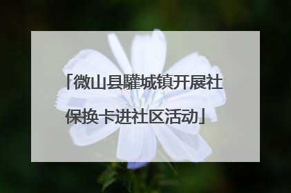 微山县驩城镇开展社保换卡进社区活动