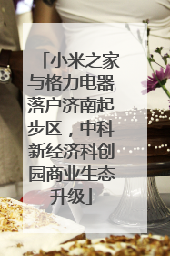 小米之家与格力电器落户济南起步区，中科新经济科创园商业生态升级