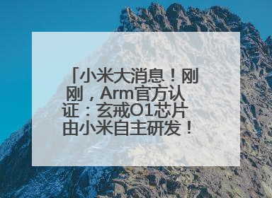 小米大消息！刚刚，Arm官方认证：玄戒O1芯片由小米自主研发！雷军此前称已开始大规模量产