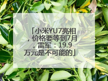 小米YU7亮相，价格要等到7月，雷军：19.9万元是不可能的