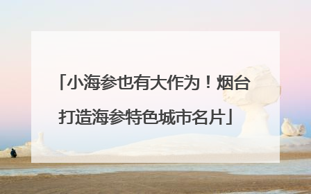 小海参也有大作为！烟台打造海参特色城市名片