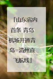 山东省内首条 青岛机场开通青岛=清州直飞航线
