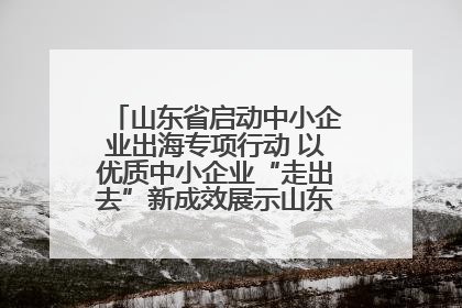 山东省启动中小企业出海专项行动 以优质中小企业“走出去”新成效展示山东产业发展新形象