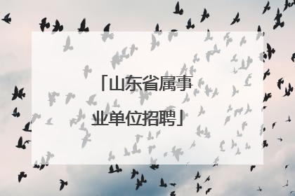 山东省属事业单位招聘