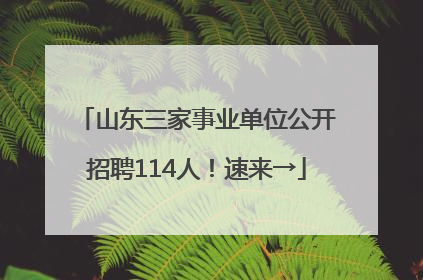 山东三家事业单位公开招聘114人！速来→