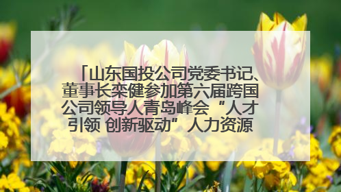 山东国投公司党委书记、董事长栾健参加第六届跨国公司领导人青岛峰会“人才引领 创新驱动”人力资源高质量发展对话会