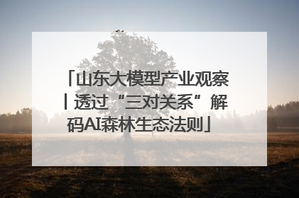 山东大模型产业观察丨透过“三对关系”解码AI森林生态法则
