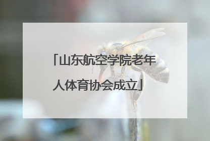 山东航空学院老年人体育协会成立