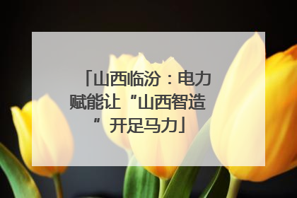 山西临汾：电力赋能让“山西智造”开足马力