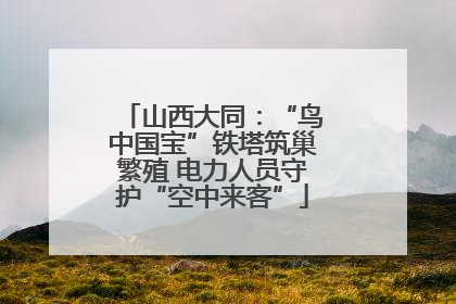 山西大同：“鸟中国宝”铁塔筑巢繁殖 电力人员守护“空中来客”