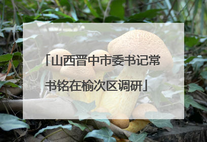 山西晋中市委书记常书铭在榆次区调研