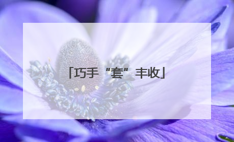 巧手“套”丰收