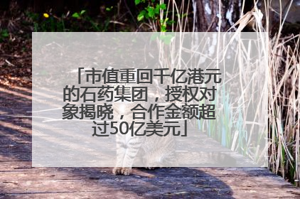 市值重回千亿港元的石药集团，授权对象揭晓，合作金额超过50亿美元