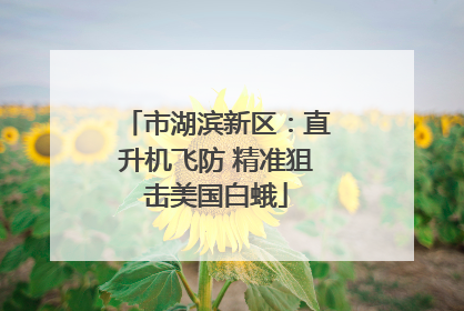 市湖滨新区：直升机飞防 精准狙击美国白蛾