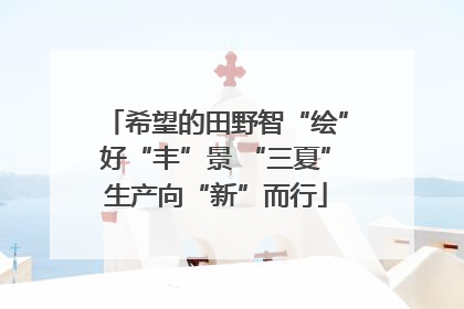 希望的田野智“绘”好“丰”景 “三夏”生产向“新”而行