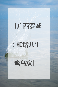 广西罗城：和谐共生鹭鸟欢