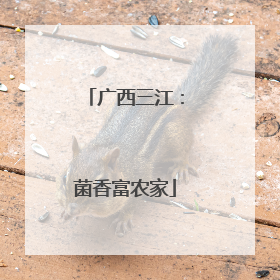 广西三江：菌香富农家