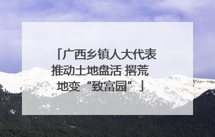 广西乡镇人大代表推动土地盘活 撂荒地变“致富园”